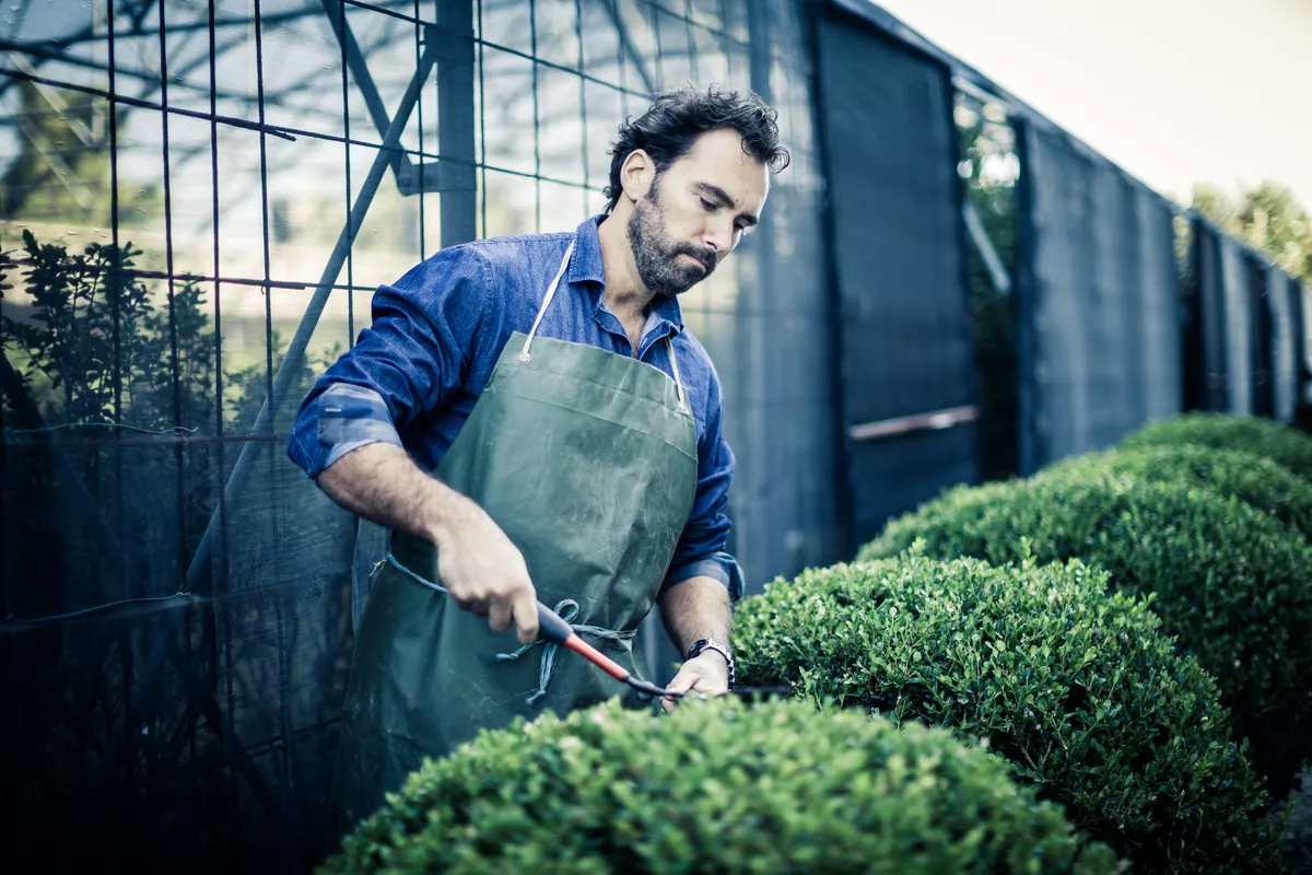 Gardening service in Ghent